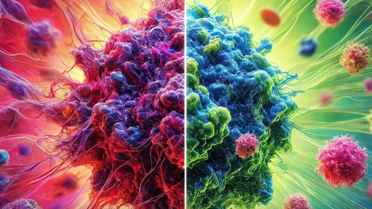 Revolutionizing Cancer Treatment: KAIST’s Breakthrough in Reversible Cancer Therapy